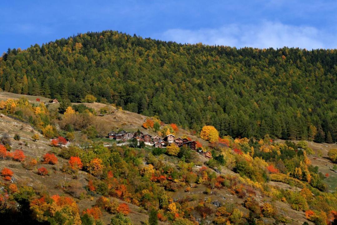 Cosy Studio For 5 Near Ski Lift, Les Gentianes Les Collons Exterior foto